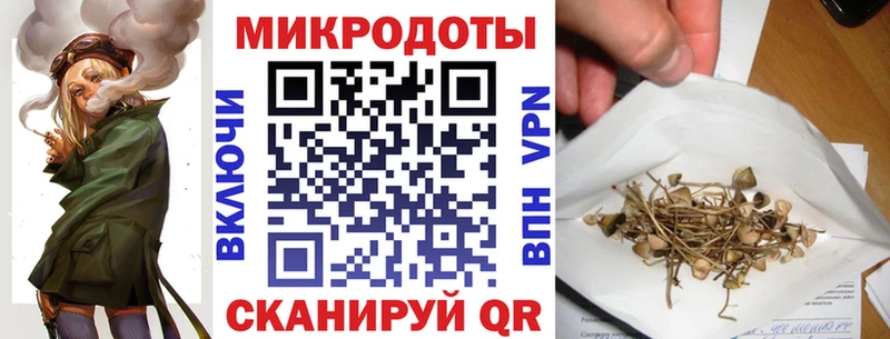 Купить  Белгород  Псилоцибиновые грибы Psilocybine cubensis 