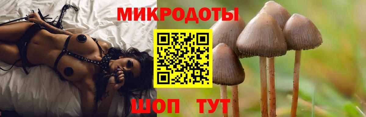 Белгород  Галлюциногенные грибы мицелий  Вход с VPN  Псилоцибиновые грибы GOLDEN TEACHER 